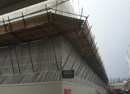 Walnuts House Orpington